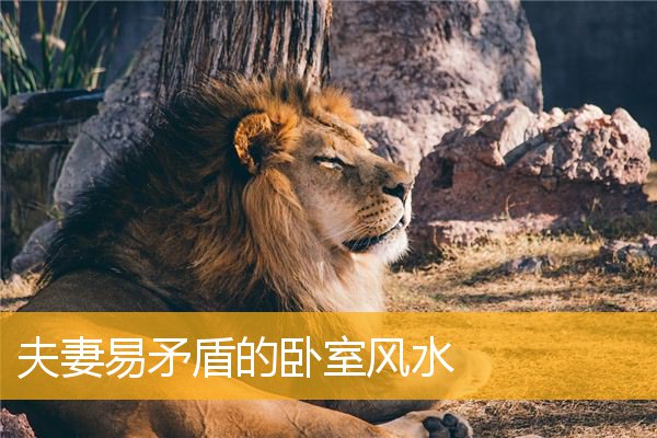 夫妻易矛盾的卧室风水