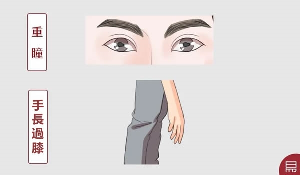 形貌特殊的人就一定能显贵吗?老易带你读《麻衣神相·神异赋》