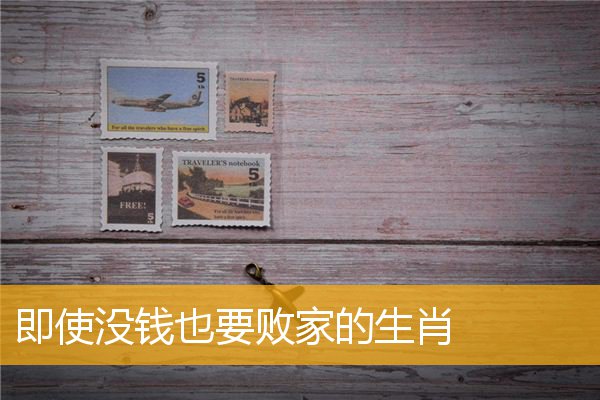 即使没钱也要败家的生肖