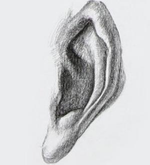 阅人三十六术之二：耳朵