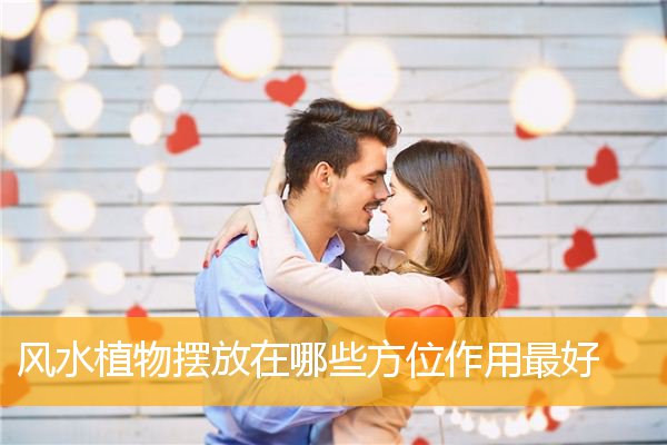 风水植物摆放在哪些方位作用最好