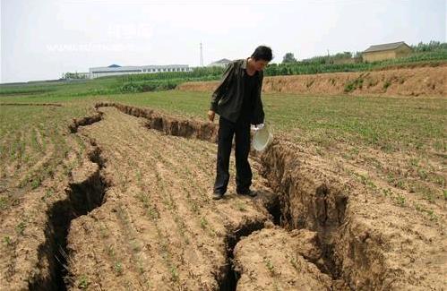 如何应对地质灾害及气候变化