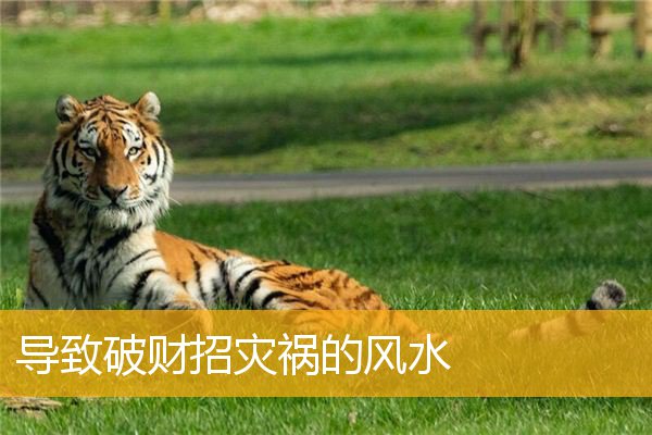 导致破财招灾祸的风水