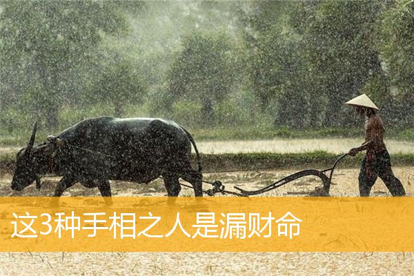 这3种手相之人是漏财命