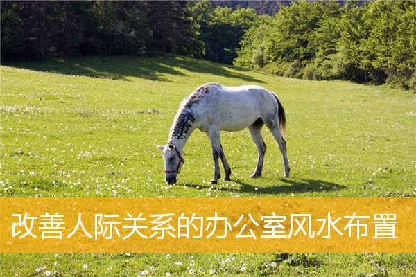 改善人际关系的办公室风水布置