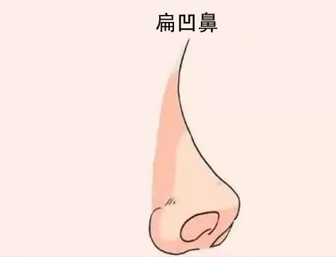 四种容易漏财的鼻相，要谨慎理财！