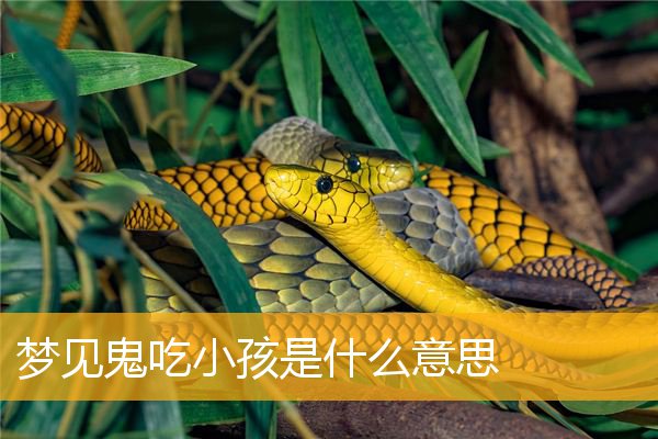 梦见鬼吃小孩是什么意思