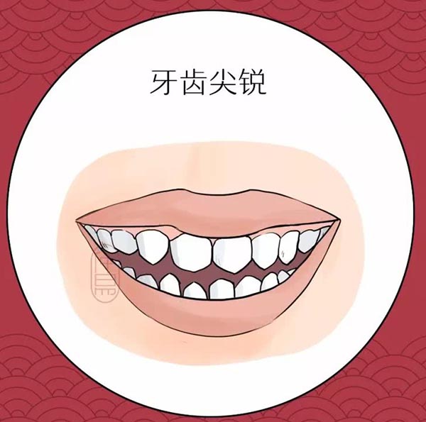 仲易说：牙齿长这样，一生顺风顺水，生活富足！