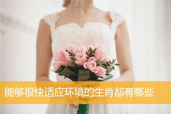 能够很快适应环境的生肖都有哪些