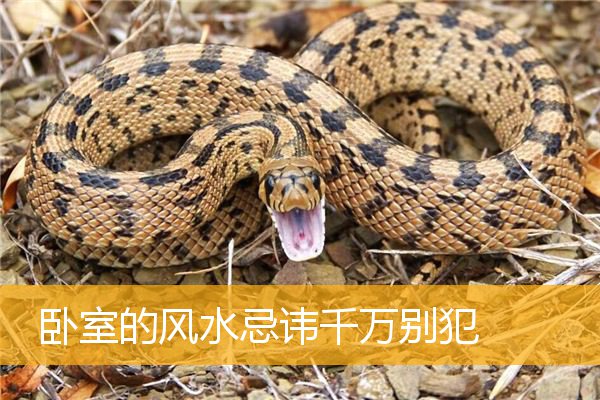 卧室的风水忌讳千万别犯