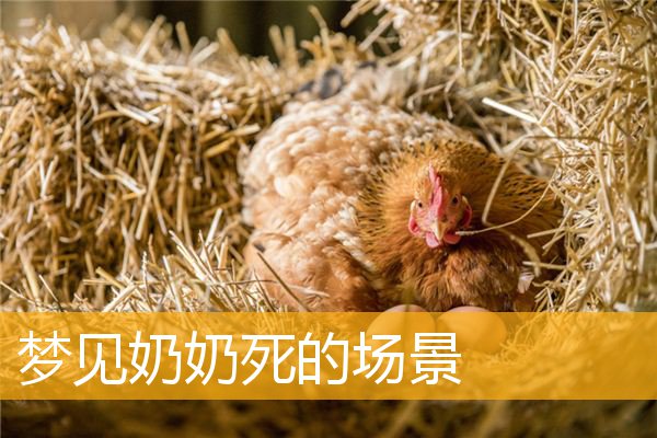 梦见奶奶死的场景