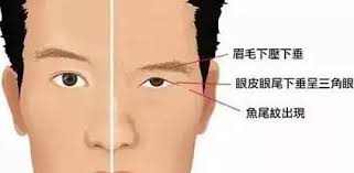 阅人三十六术之一：眼睛