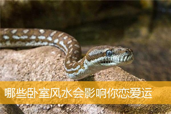 哪些卧室风水会影响你恋爱运