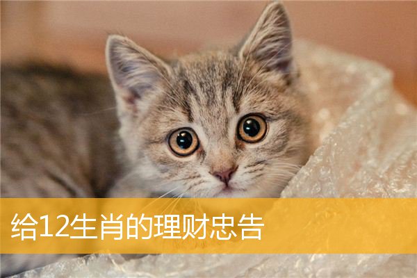 给12生肖的理财忠告