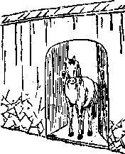 推背图第三十二象 乙未 巽下坎上 井 李自成倾覆大明王朝的预言