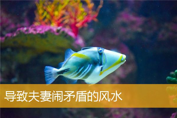 导致夫妻闹矛盾的风水