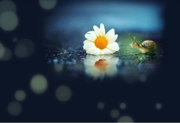 易经破解为何破财就可以免灾？