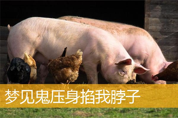 梦见鬼压身掐我脖子