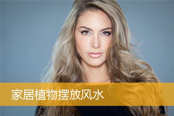 家居植物摆放风水
