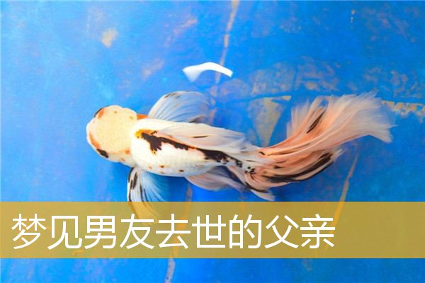 梦见男友去世的父亲