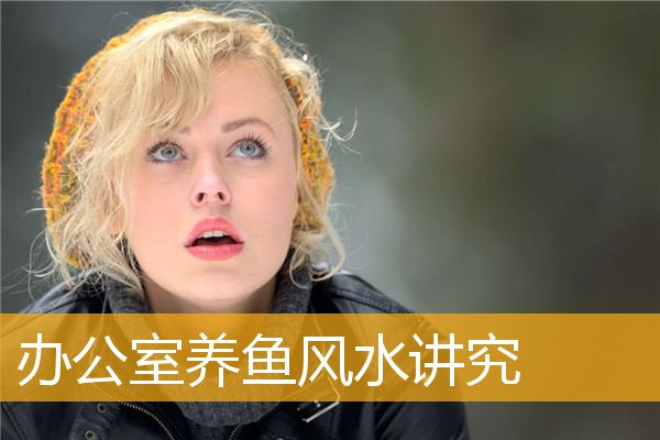 办公室养鱼风水讲究