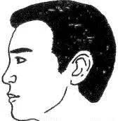 十六种鼻子面相图文分析，看看你财运如何？