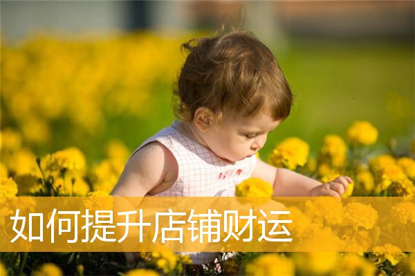 如何提升店铺财运