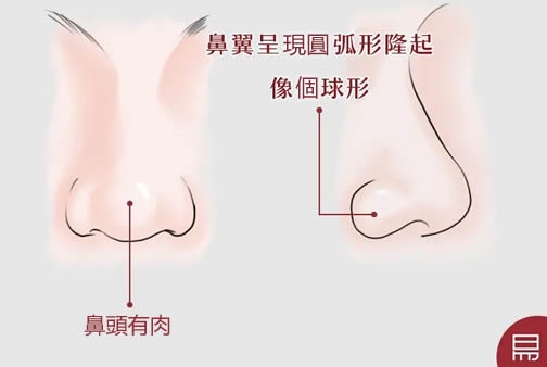 鼻是财库!你命中有多少财富?老易带你读《麻衣神相·神异赋》