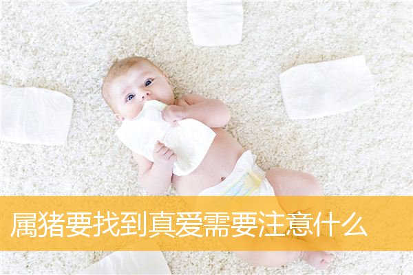 属猪要找到真爱需要注意什么