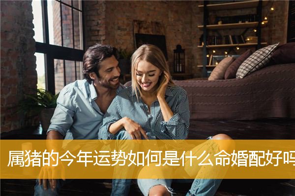 属猪的今年运势如何是什么命婚配好吗