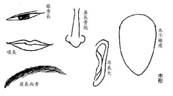 什么脸型的人胖点反而会有好运气出现？