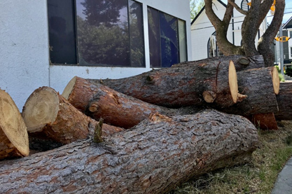 农业用什么字起公司名好 聚财吉利的公司名大全