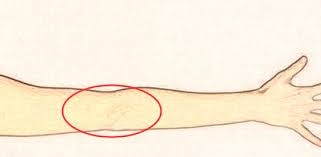 身上有这些特征的女人天生就是富人命