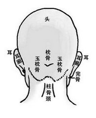 摸骨识人,影响命运的九根骨头