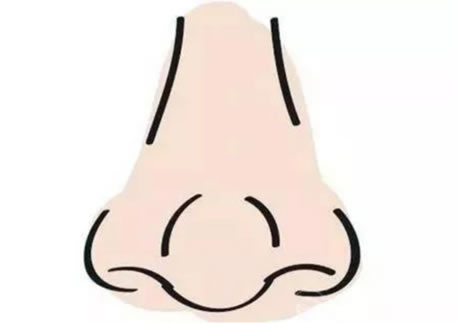 清雅居士：相上哪几处决定了人的赚钱能力？