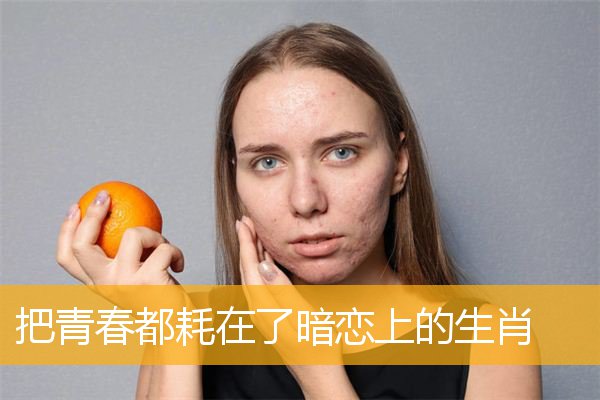 把青春都耗在了暗恋上的生肖