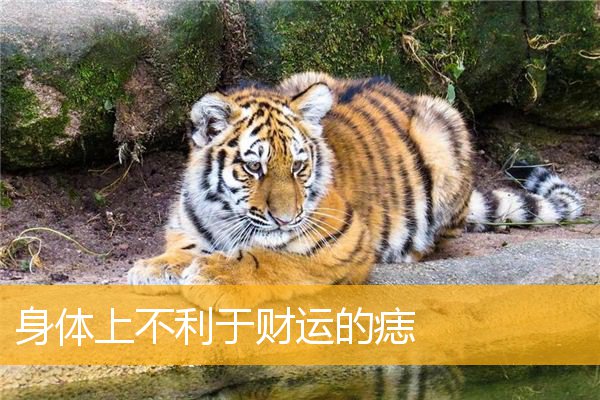 身体上不利于财运的痣