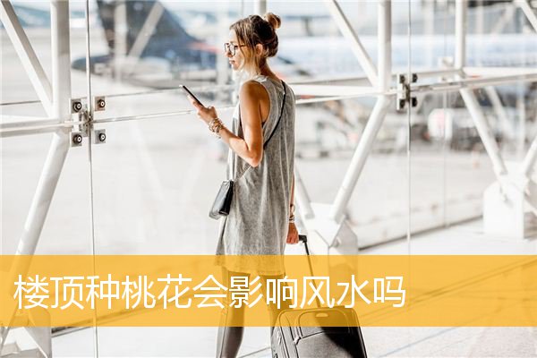 楼顶种桃花会影响风水吗