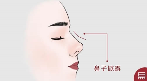 鼻是财库!你命中有多少财富?老易带你读《麻衣神相·神异赋》