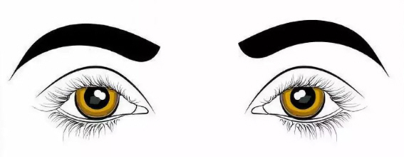 堪称职场精英,感情却不太走运的女人面相