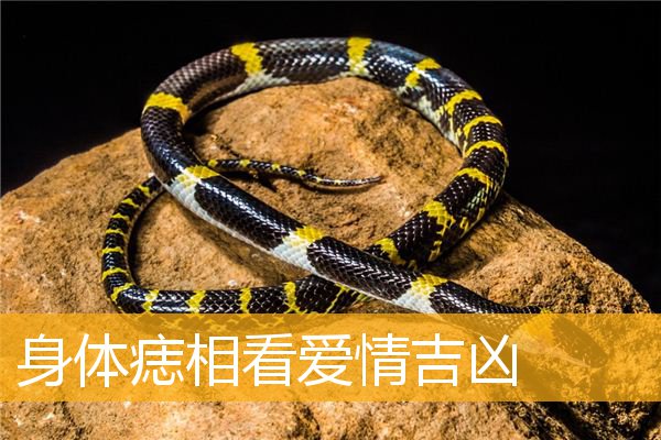 身体痣相看爱情吉凶