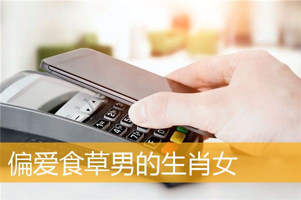 偏爱食草男的生肖女
