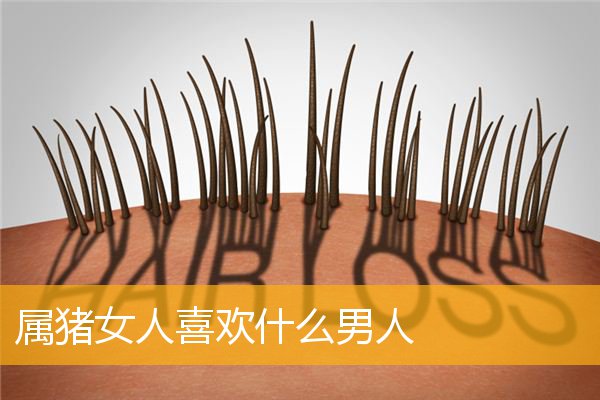 属猪女人喜欢什么男人