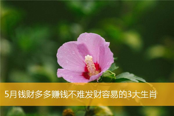 5月钱财多多赚钱不难发财容易的3大生肖