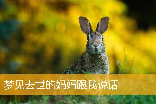 梦见去世的妈妈跟我说话