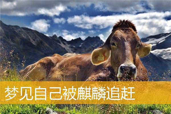 梦见自己被麒麟追赶