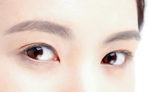 面相解析：圆眼之人搭配何种眉型易招桃花？