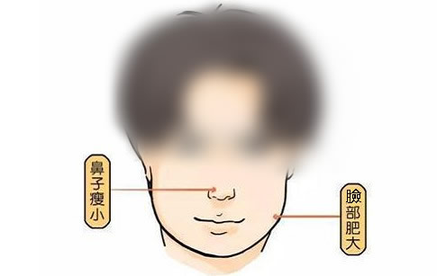 阅人三十六术之三:鼻子