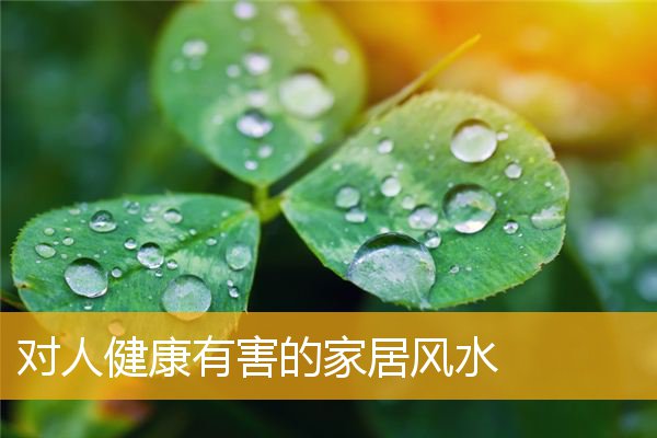 对人健康有害的家居风水