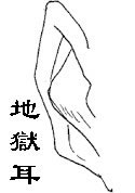 阅人三十六术之二：耳朵